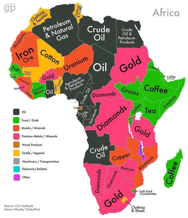 Africa in Globalization:  How to explain Africa’s low share in world trade?