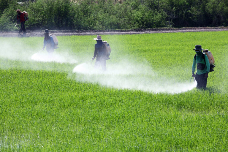 Towards Strong Actions to Phase-Out Highly Hazardous Pesticides