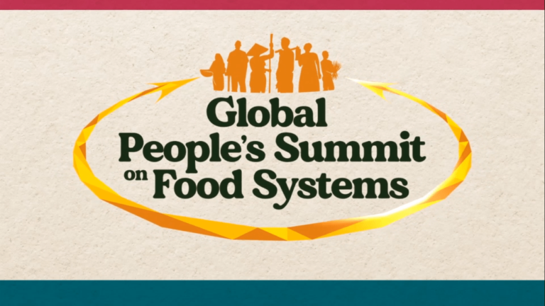 Over 560 groups worldwide endorse ‘people’s declaration’ for radical food systems transformation amid COP 26 climate talks